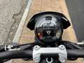 Triumph Trident 660 Schwarz - thumbnail 4