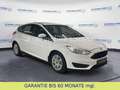 Ford Focus FOCUS  1. BESITZ / KLIMAANLAGE / SITZHEIZUNG Weiß - thumbnail 3