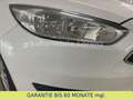 Ford Focus FOCUS  1. BESITZ / KLIMAANLAGE / SITZHEIZUNG Weiß - thumbnail 29