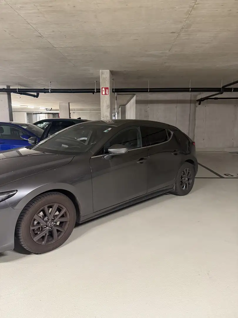 Mazda 3 Skyactiv-G150 Comfort+/SO/ST Aut. |LEASINGFAHRZEUG - 2