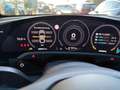 Porsche Taycan Basis/Panodach/Sportchrono/21 Zoll Grau - thumbnail 10