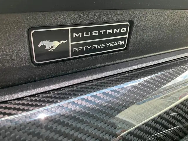 Ford Mustang view 8