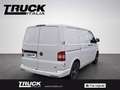 Volkswagen T5 Transporter - transp.28 2.0 tdi 102cv p.c. White - thumbnail 6