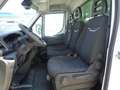 Iveco Daily 35C16 BOX+SPONDA Bianco - thumbnail 12
