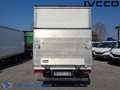 Iveco Daily 35C16 BOX+SPONDA Bianco - thumbnail 5