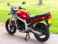 Suzuki GS 500 Rood - thumbnail 8