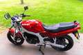 Suzuki GS 500 Rood - thumbnail 12