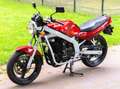 Suzuki GS 500 Rood - thumbnail 7
