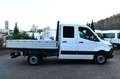 Mercedes-Benz Sprinter 314 CDI Pritsche DoKa RWD Standheizung Weiß - thumbnail 5