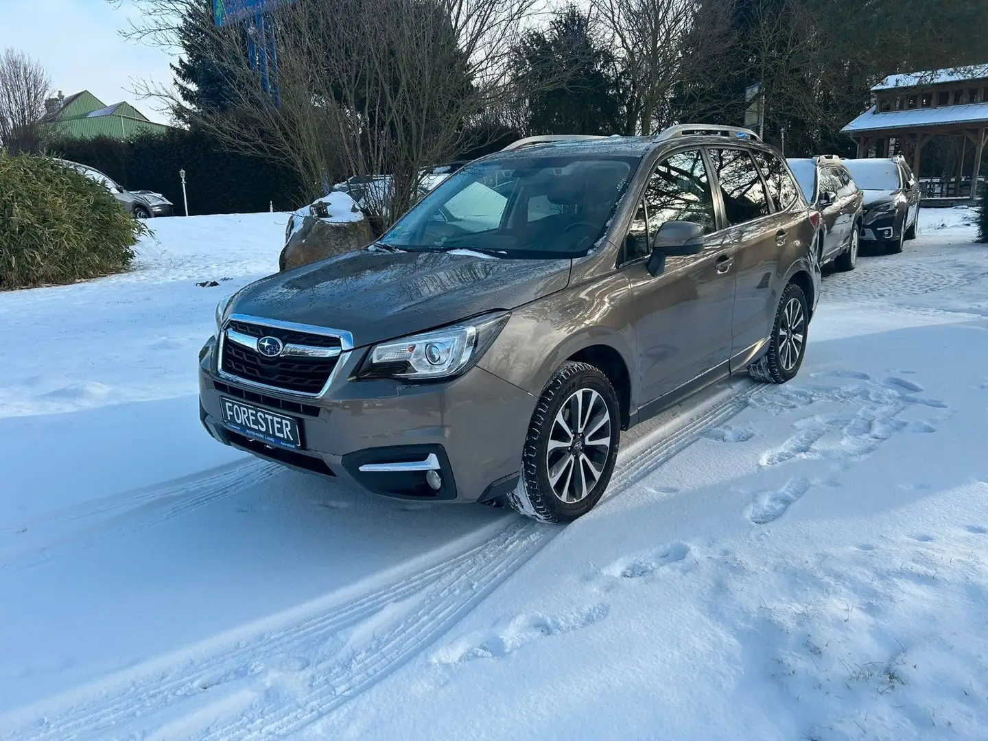 Subaru Forester 2.0X Platinum Lineartronic* Brun - 1