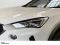 CUPRA Formentor PANORAMA FULL-LINK EINPARKHILFE LED Blanc - thumbnail 4