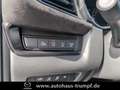 Mazda CX-30 2.0L e-SKYACTIV X 186 PS 6AT FWD NAGISA Grau - thumbnail 20