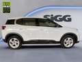 Citroen C5 Aircross 1.2 PureTech 130 S&S YOU FLA LED Alb - thumbnail 7
