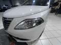 Lancia Ypsilon Ypsilon 1.3 MJT 16V 95 CV 5 porte S&S Platinum Blanc - thumbnail 16