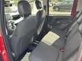 Fiat Panda Pandina Cross 1.0 firefly hybrid s&s 70cv - thumbnail 10