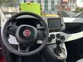 Fiat Panda Pandina Cross 1.0 firefly hybrid s&s 70cv - thumbnail 8