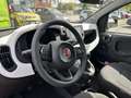 Fiat Panda Pandina Cross 1.0 firefly hybrid s&s 70cv - thumbnail 11