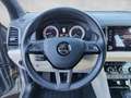 Skoda Karoq 4x4 Style TDI DSG SCR Braun - thumbnail 10