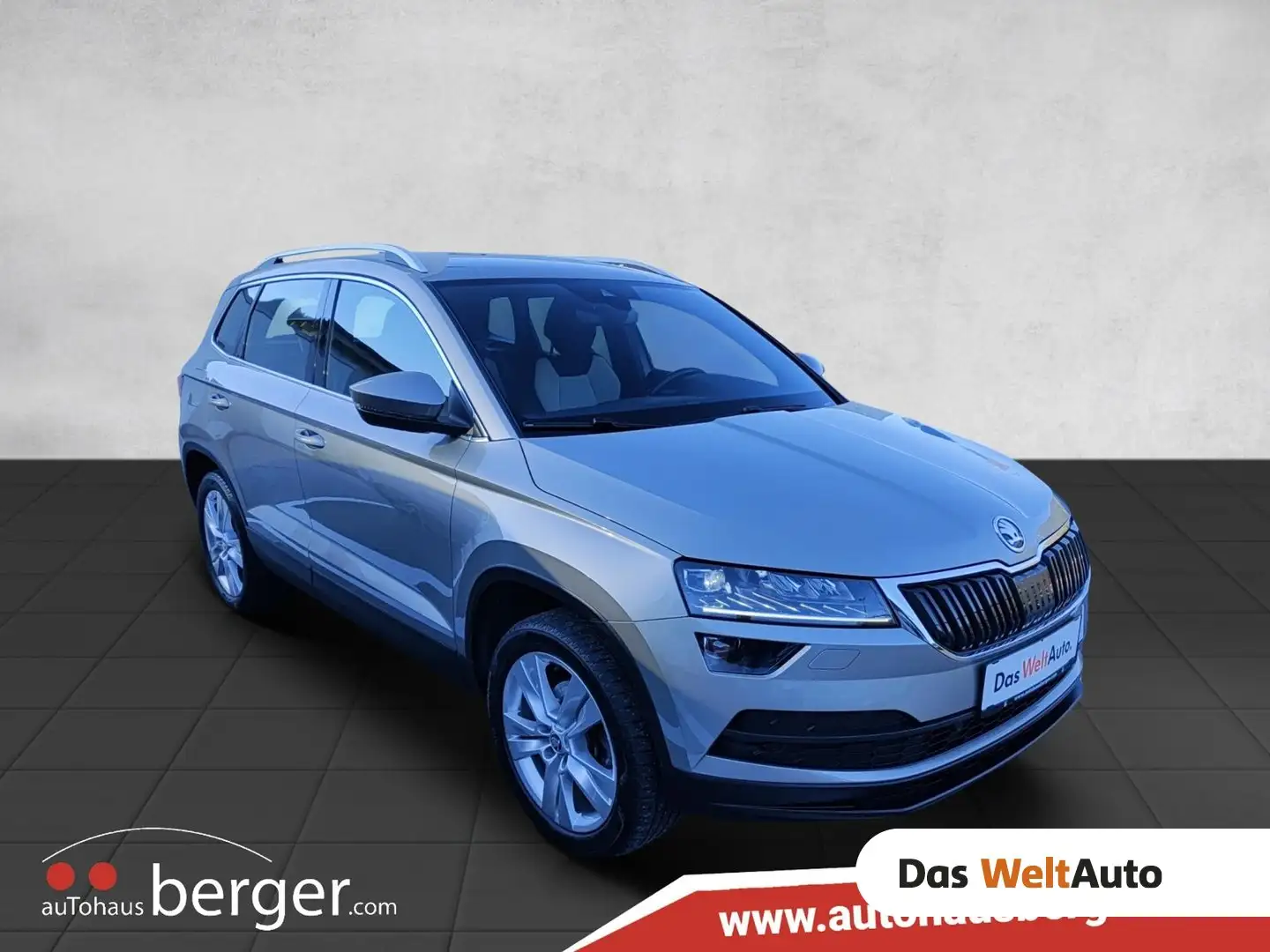 Skoda Karoq 4x4 Style TDI DSG SCR Braun - 1