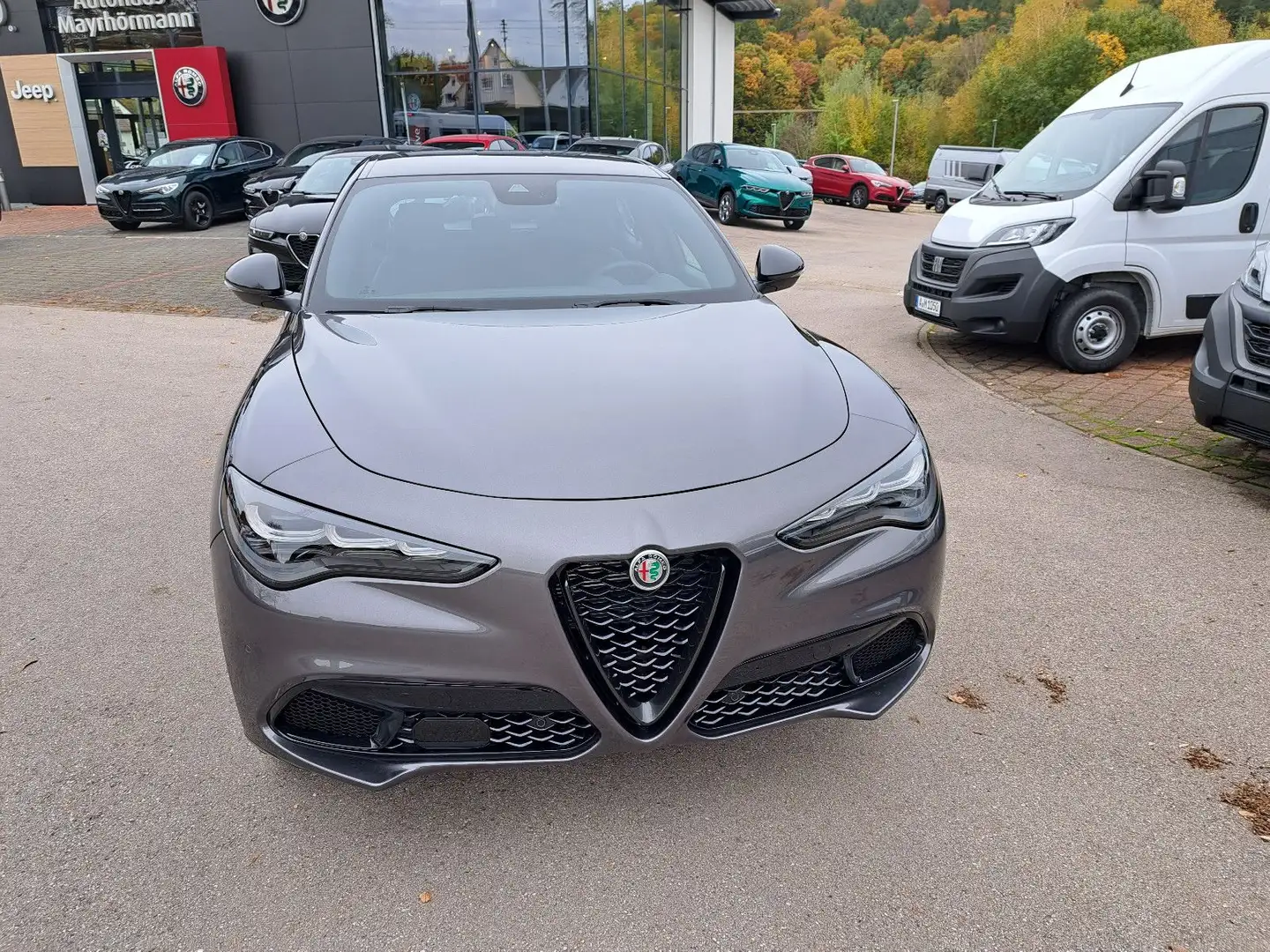 Alfa Romeo Stelvio Veloce Allrad Gris - 1