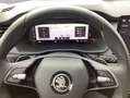 Skoda Octavia Combi Selection 2.0 TDI DSG Kamera/LED/N Schwarz - thumbnail 10
