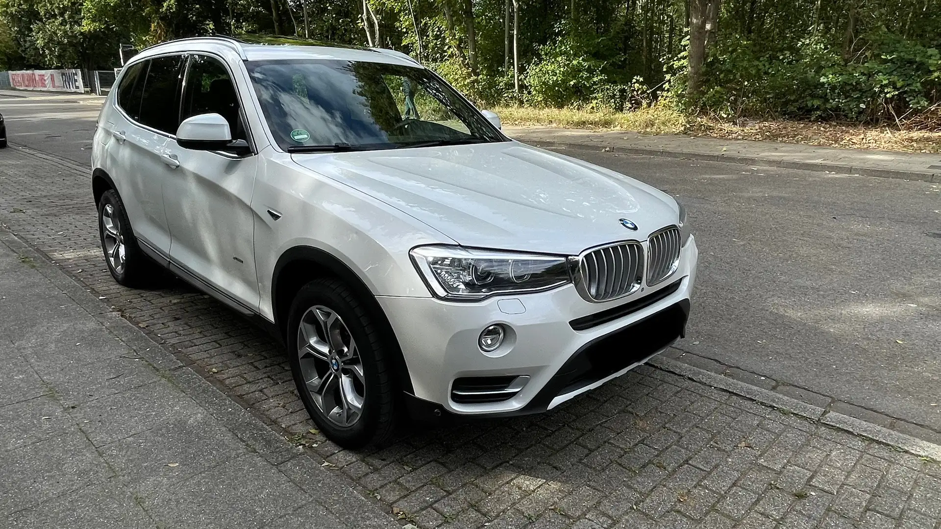 BMW X3 xDrive30d Aut. xLine - 2