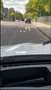 BMW X3 xDrive30d Aut. xLine - thumbnail 20