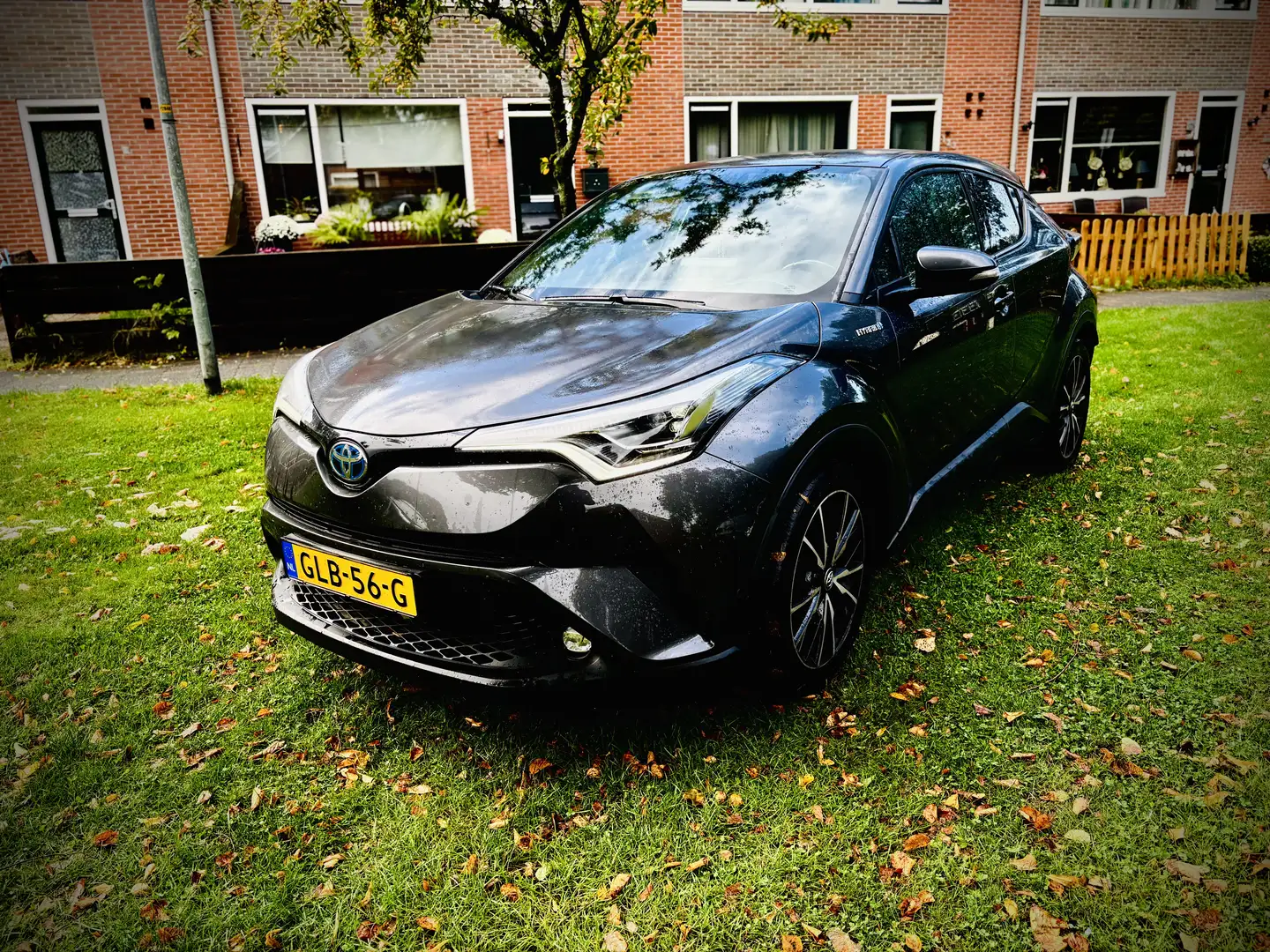 Toyota C-HR Grey - 1