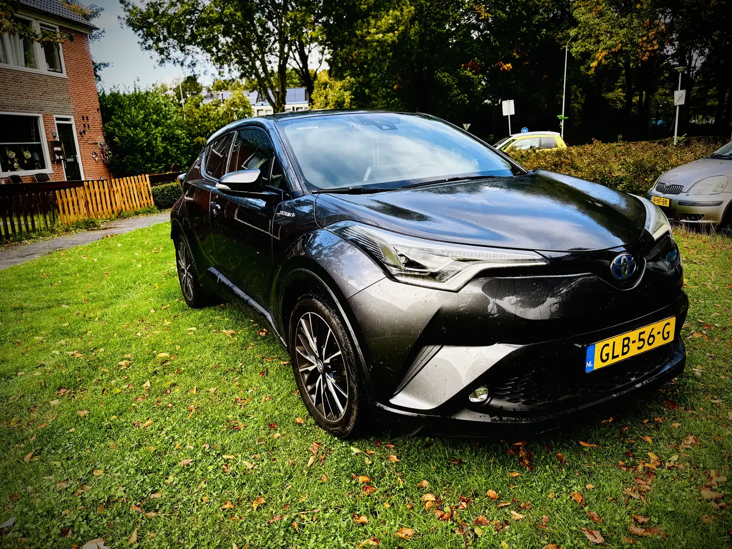 Toyota C-HR Grey - 2