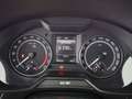 Skoda Octavia Scout 2.0 TDI 4x4 Aut XENON AHK LEDER NAV Schwarz - thumbnail 19