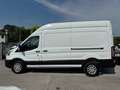Ford Transit 350 EcoBlue PL-TM Furgone Bianco - thumbnail 8
