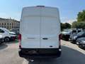 Ford Transit 350 EcoBlue PL-TM Furgone Bianco - thumbnail 6