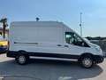 Ford Transit 350 EcoBlue PL-TM Furgone Bianco - thumbnail 4