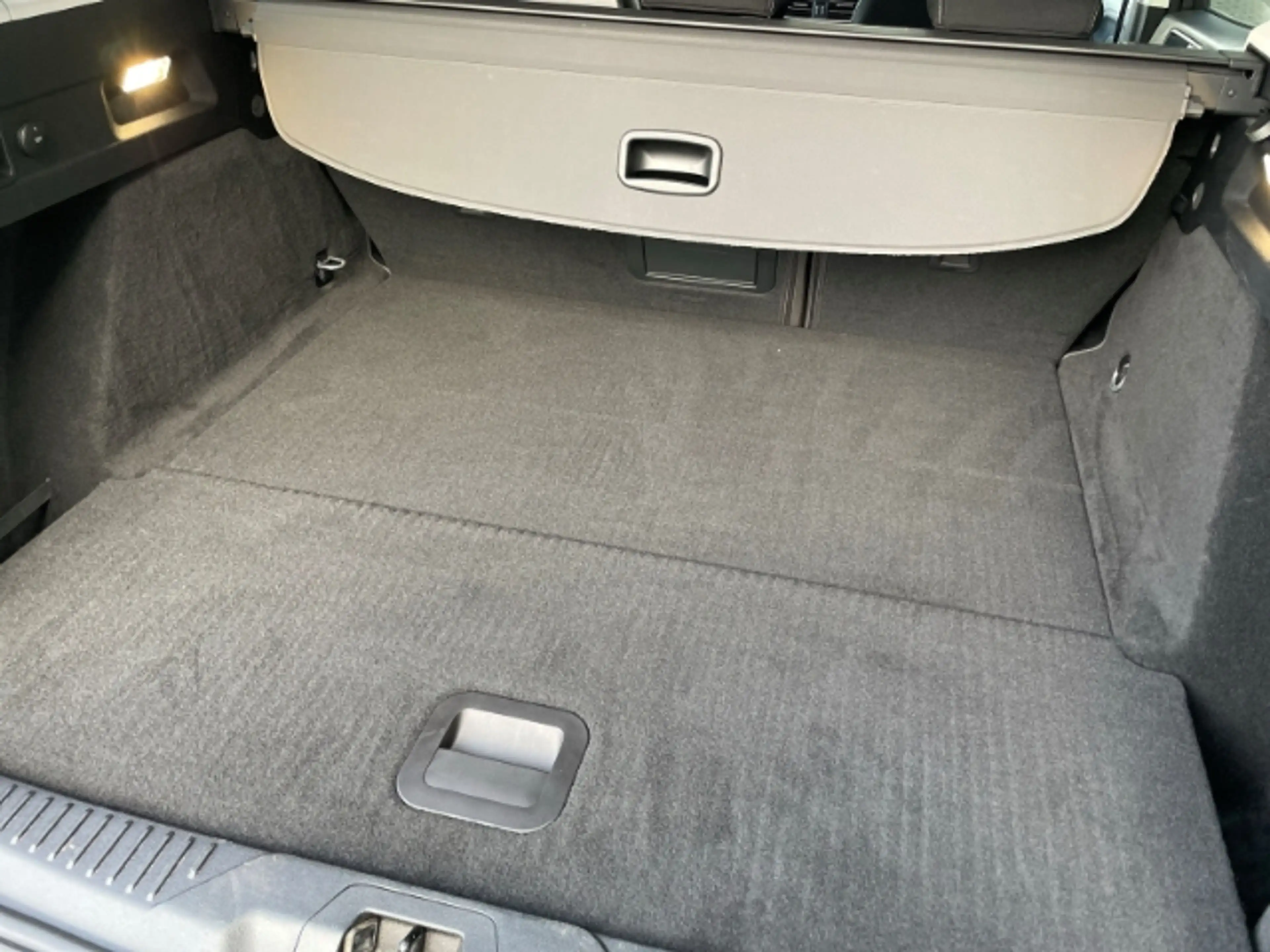 Ford Focus 1.0 EcoBoost Mild-Hybrid Titanium X Autom. — photo 6
