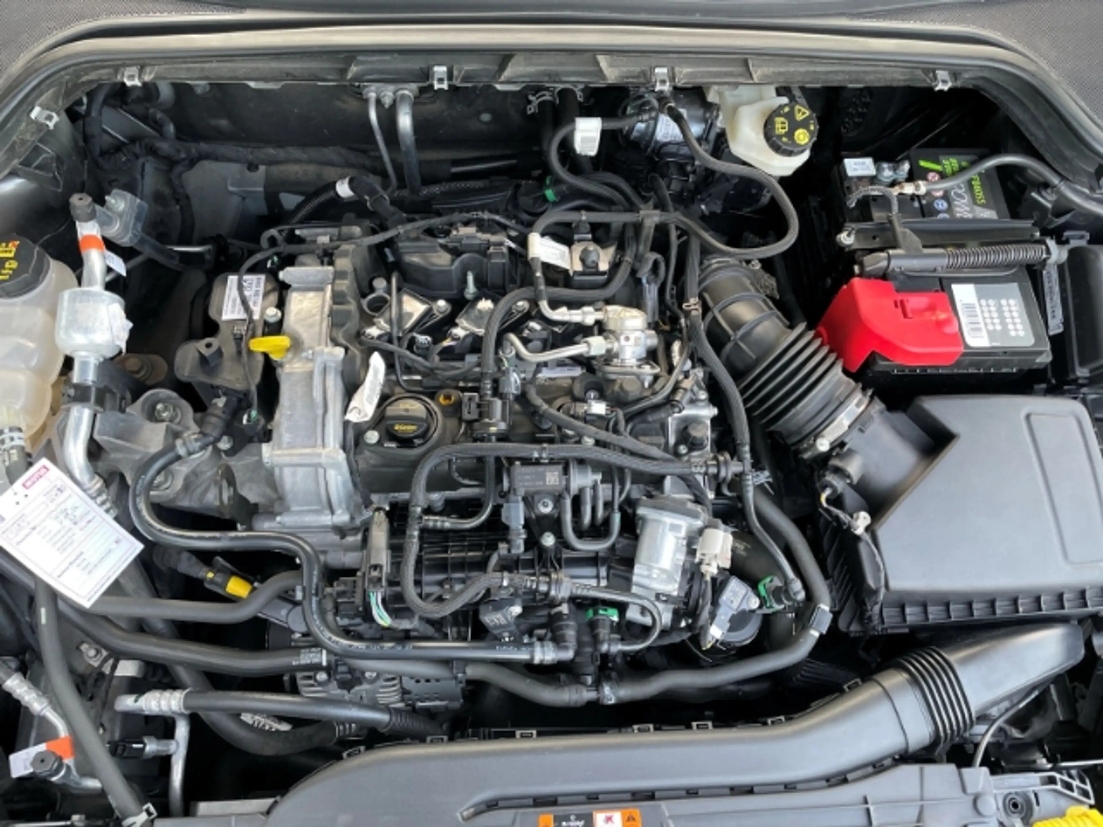 Ford Focus 1.0 EcoBoost Mild-Hybrid Titanium X Autom. — photo 14