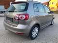 Volkswagen Golf Plus Golf Plus1.6 TDITrendline**1Besitz**NAVI**SHZ** Braun - thumbnail 6