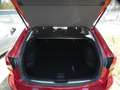 Mazda 6 2.0L SKYACTIV G 165 6AT FWD CENTER-LINE Rot - thumbnail 10