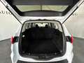 Ford S-Max S-MAX Titanium 2.0 EcoBlue SCR // SITZHEIZUNG // Weiß - thumbnail 24