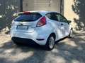 Ford Fiesta 1.5 TDCi 75CV 3 porte Van Entry Bianco - thumbnail 7