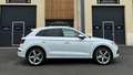 Audi Q5 2.0 TDI 190 Quattro S line Virtual... New 1er Main Blanc - thumbnail 28