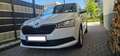 Skoda Fabia Fabia Ambition 1,0 Ambition Weiß - thumbnail 20