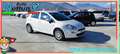 Fiat Punto 1.3 MJT II 75 CV 5 porte Street Blanc - thumbnail 1