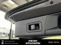 Mercedes-Benz B 250 B 250 4M Progressive 8G+AHK+Kamera+Thermotronic Grey - thumbnail 15