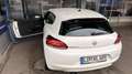 Volkswagen Scirocco Scirocco 1.4 TSI DSG - thumbnail 15