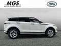 Land Rover Range Rover Evoque R-Dynamic, Meridian Blanc - thumbnail 6