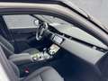Land Rover Range Rover Evoque R-Dynamic, Meridian Blanc - thumbnail 4