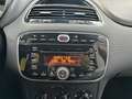 Fiat Punto 1.2 5p Easy EURO 5B | NEOPATENTATI!!! Nero - thumbnail 13