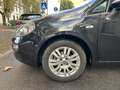 Fiat Punto 1.2 5p Easy EURO 5B | NEOPATENTATI!!! Nero - thumbnail 3