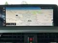 BMW X3 X3 xDrive20i Aut. Blauw - thumbnail 13