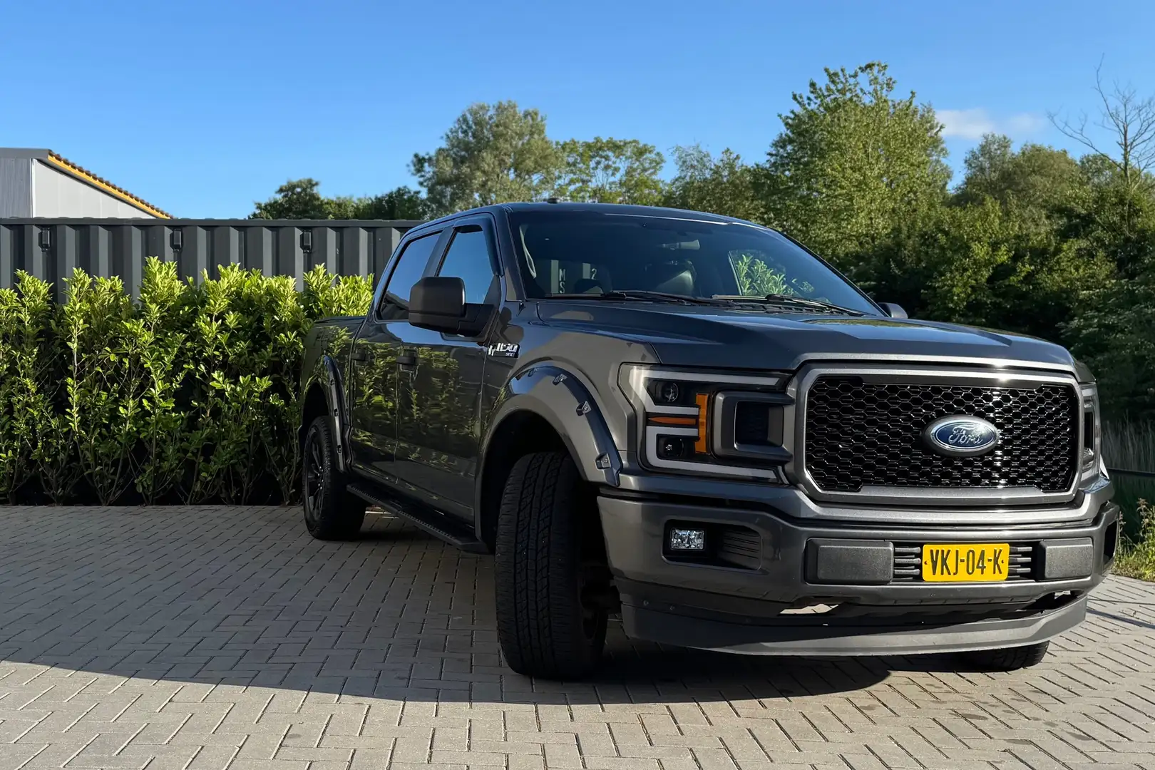 Ford F 150 USA 5.0 V8 Crewcab STX Сірий - 2